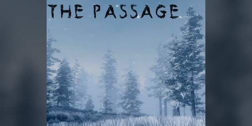 Cover image for The Passage
