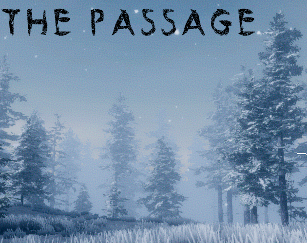 Cover image for The Passage