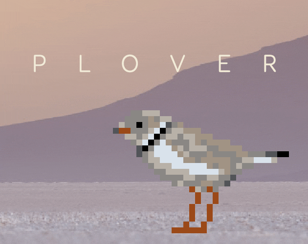 Plover by grouflon, m_nikko_m