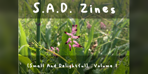 Cover image for S.A.D Zines (Small And Delightful) Volume 1