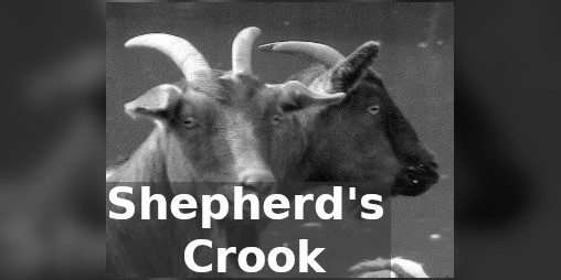 Cover image for Shepherd's Crook