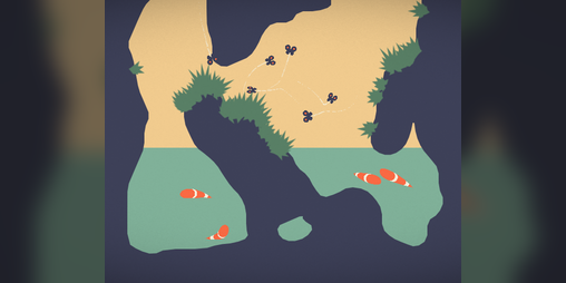 Cover image for Terrarium/Aquarium