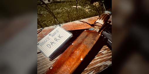 Cover image for Homeward Dark