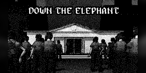 Cover image for Down the Elephant