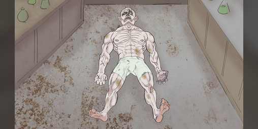 Cover image for Save Frank