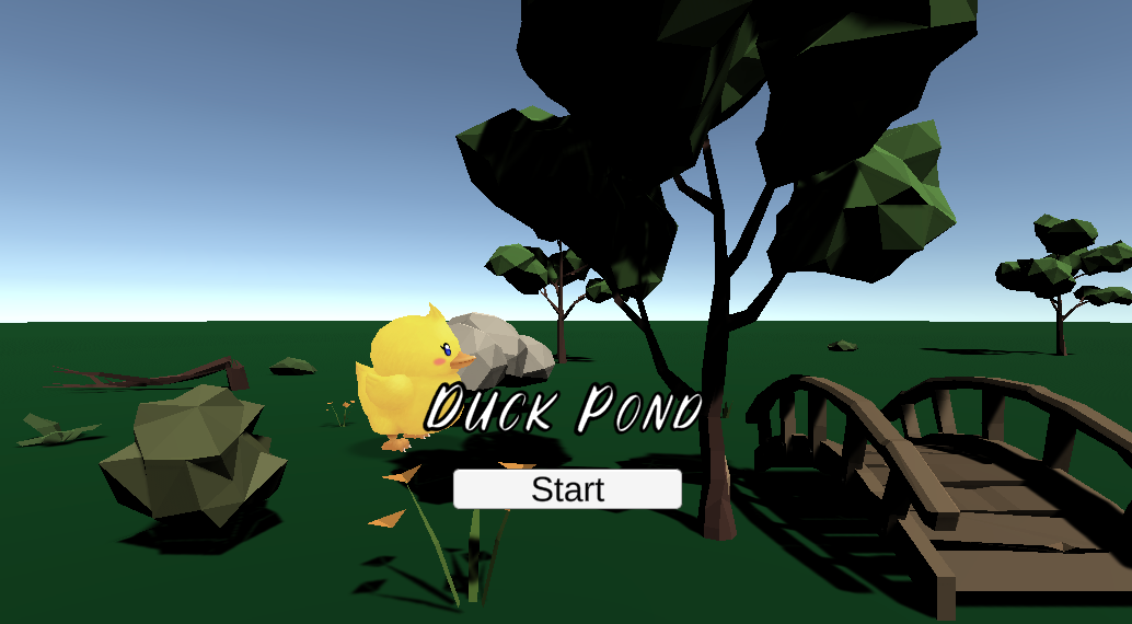 Cover image for Duck Pond