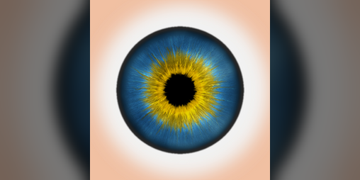 Cover image for Eyes Follow