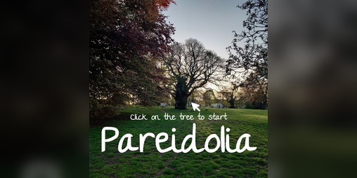 Cover image for Pareidolia