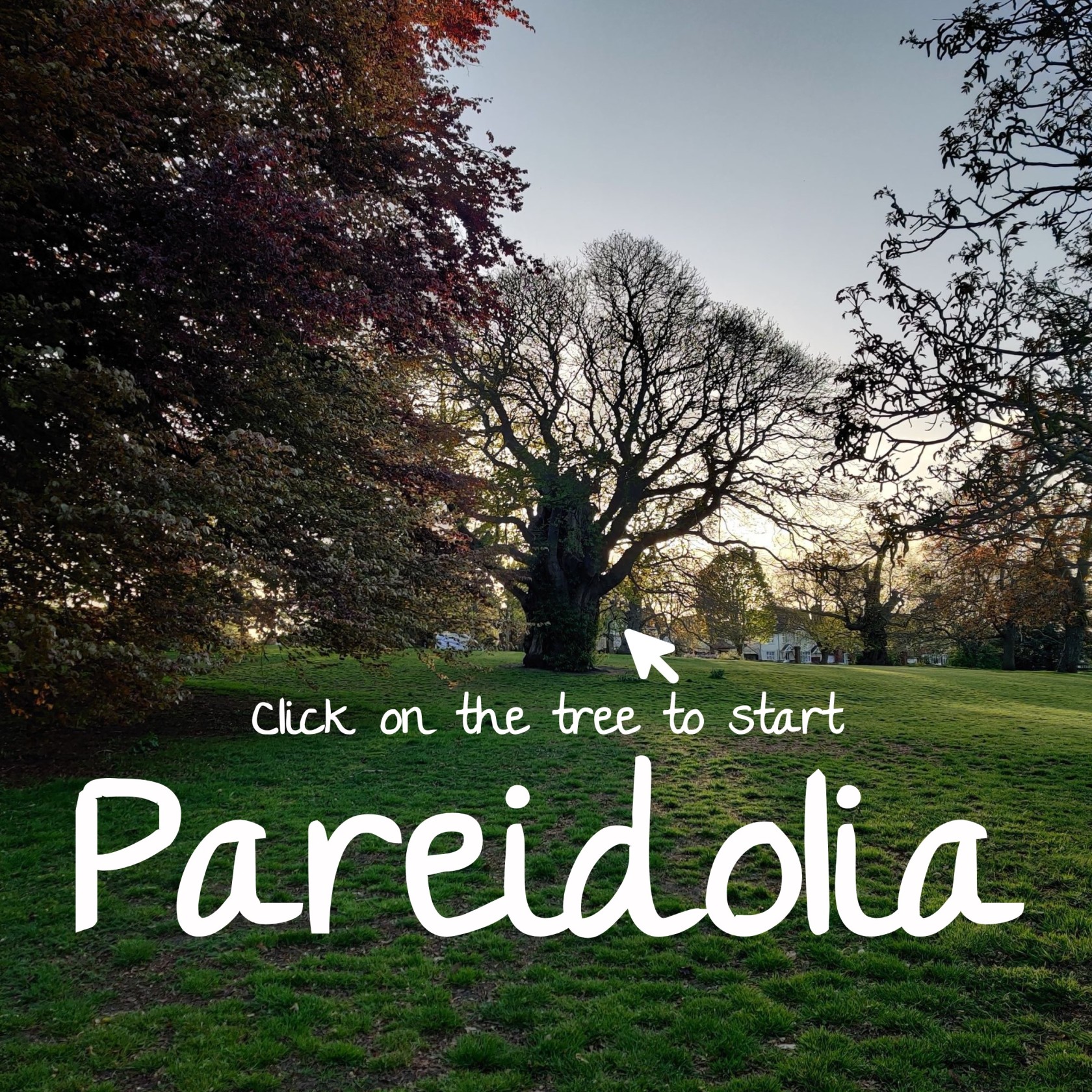 Pareidolia