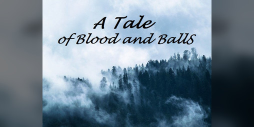 Cover image for A Tale of Blood and Balls