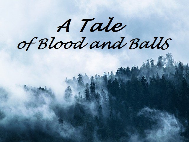 Cover image for A Tale of Blood and Balls