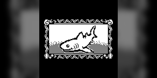 Cover image for #sharklife