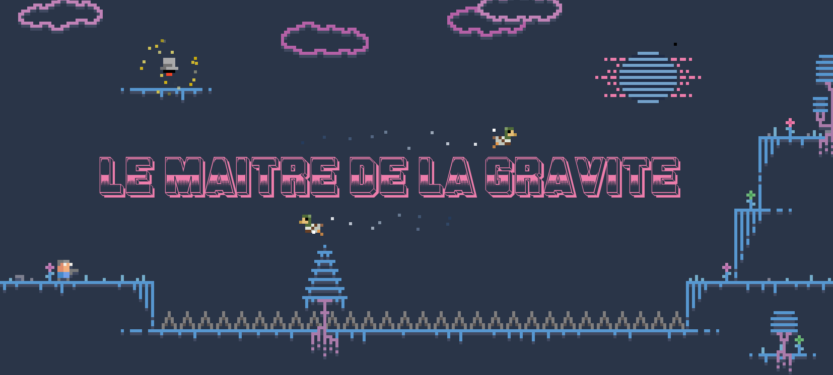 Cover image for Le maître de la gravité