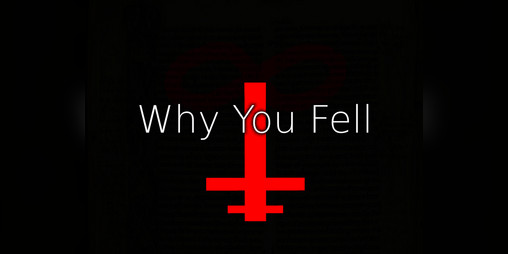 Cover image for Why You Fell