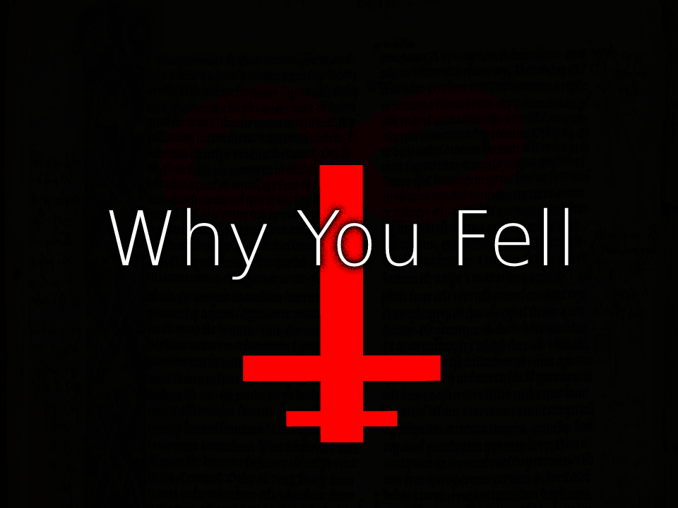 Cover image for Why You Fell