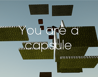 You are a capsule