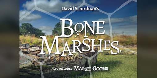 Cover image for Bone Marshes