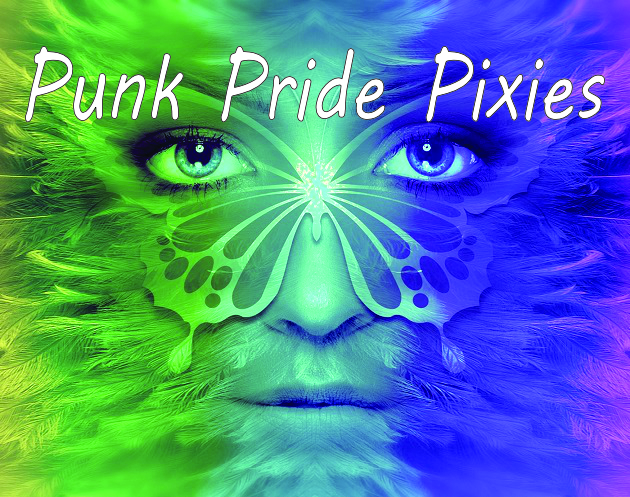 Cover image for Punk Pride Pixies