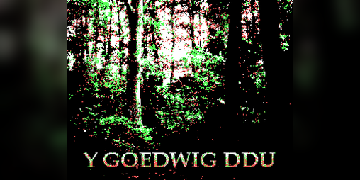 Cover image for Y GOEDWIG DDU