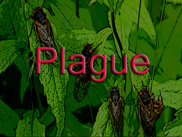 Plague