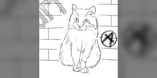 Cover image for STREETS