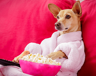 Sexäy spiel sheeeeeeesh