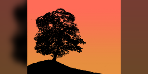 Cover image for Those Days