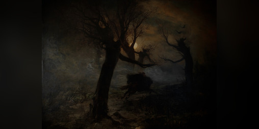 Cover image for Domains of Shadow