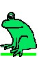 Hoppy frog