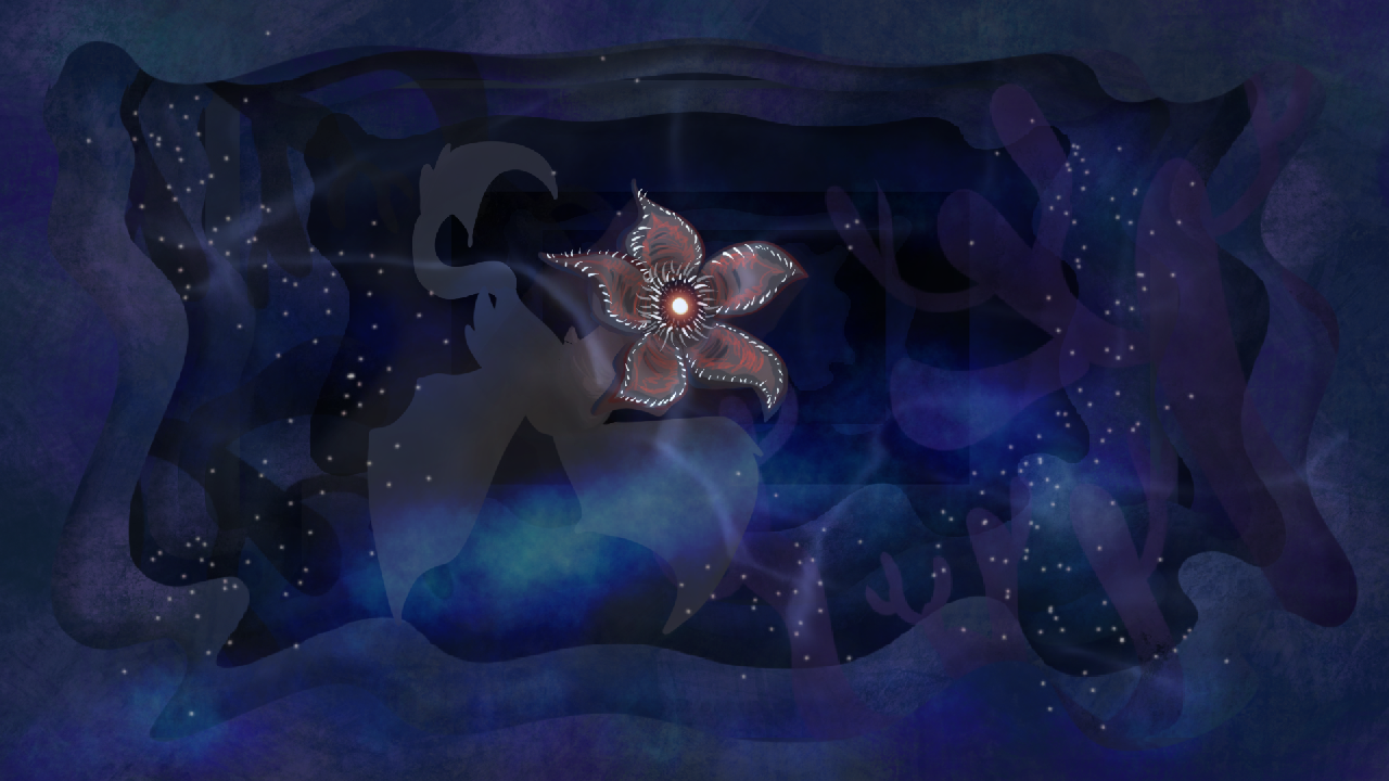 Cover image for Little Starfish