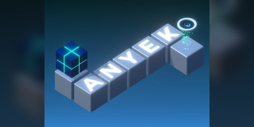 Cover image for ANYEK