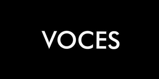 Cover image for Voces
