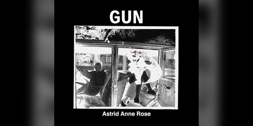 Cover image for Gun