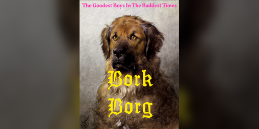 Cover image for Bork Borg