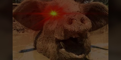 Cover image for The Pig: Money is Time