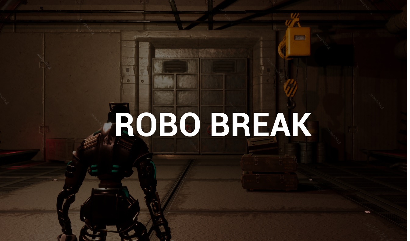 Cover image for RoboBreak