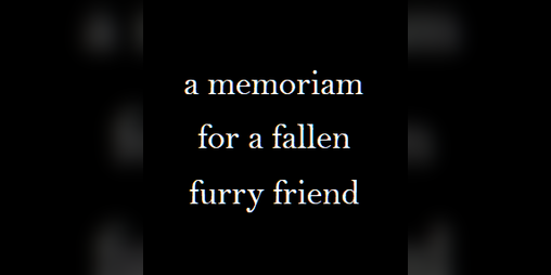Cover image for a memoriam to a fallen furry friend