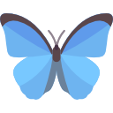 RelaxToButterfly