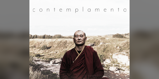 Cover image for contemplamento