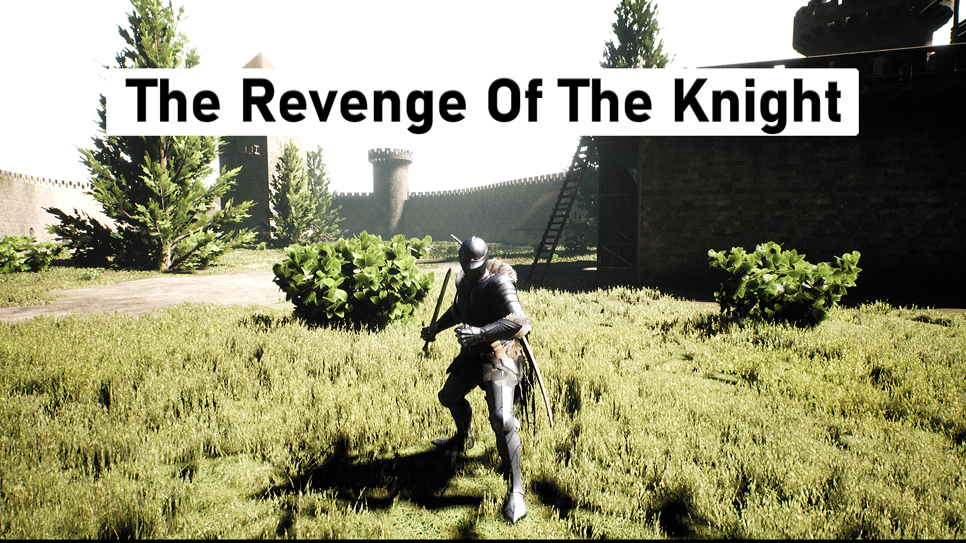 The Revenge Of The Knight