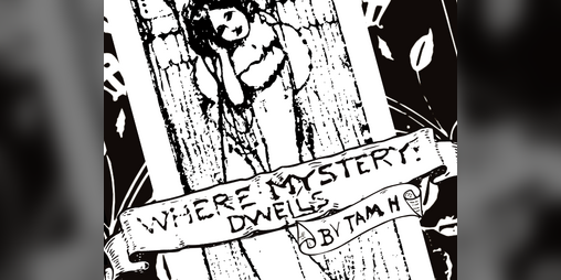 Cover image for Where Mystery Dwells