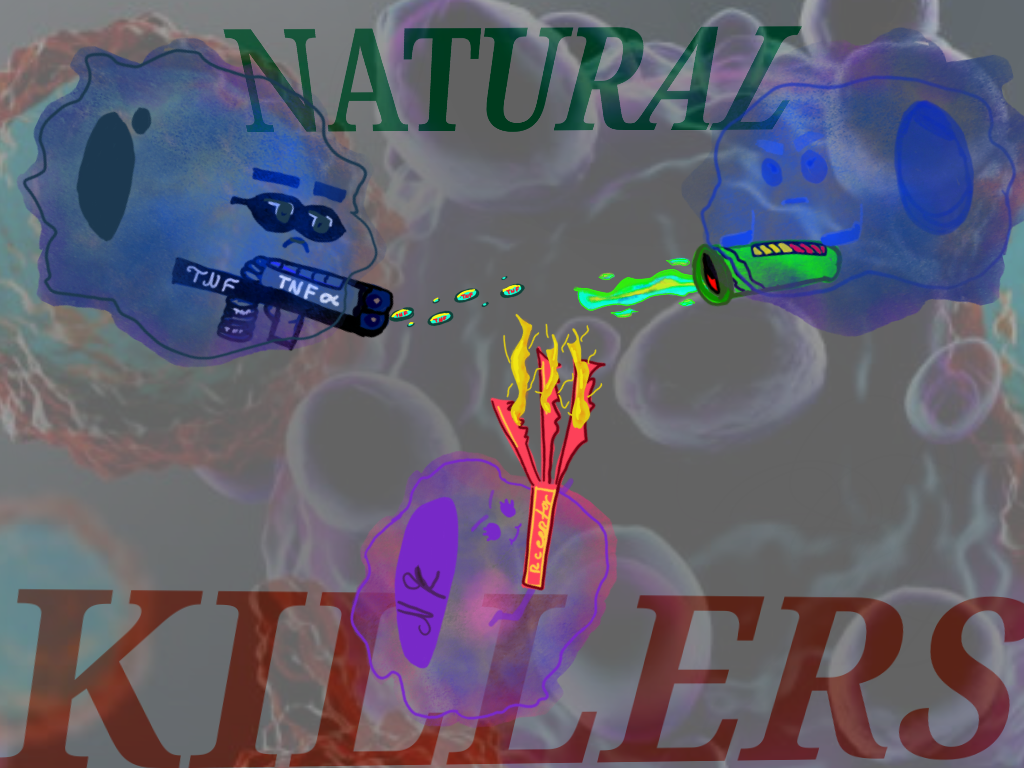 THE NATURAL KILLERS