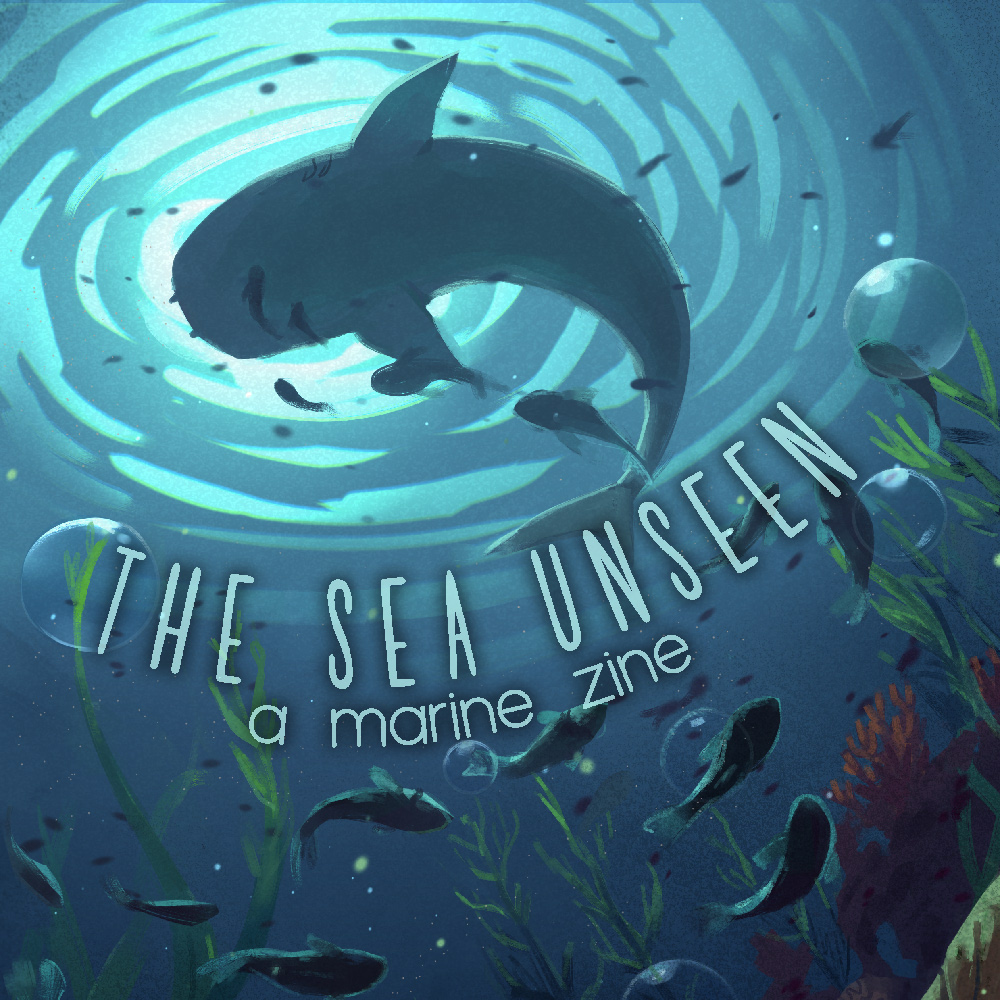 Cover image for The Sea Unseen: A Marine Zine