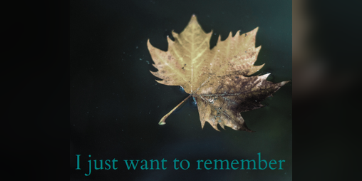Cover image for I just want to remember