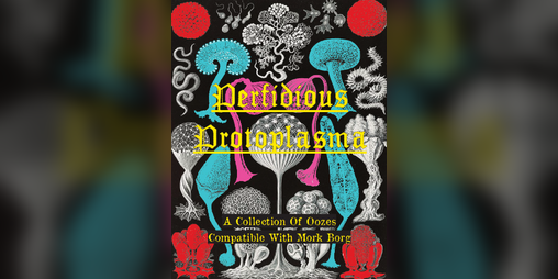 Cover image for Perfidious Protoplasma