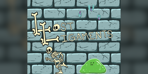 Cover image for Lost Ligaments