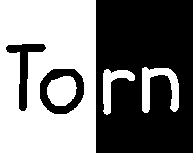 Cover image for Torn