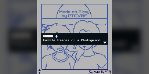 Cover image for Puzzle Pieces of a Photograph