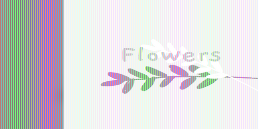 Cover image for Flowers