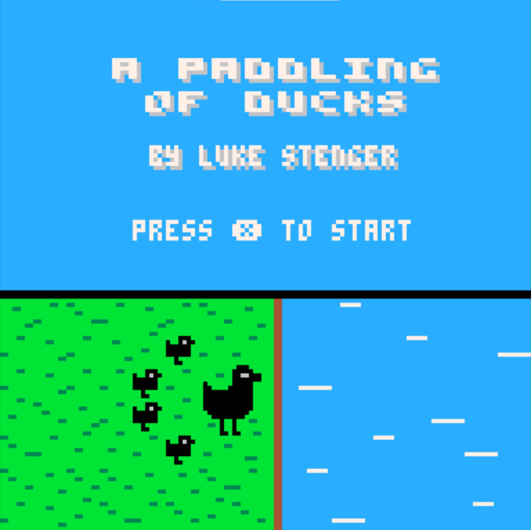 Cover image for A Paddling Of Ducks